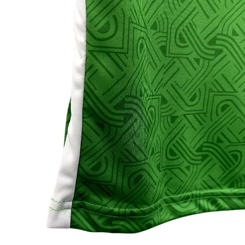 Camisola Nacional Retro Ireland 2024/2025 - Principal
