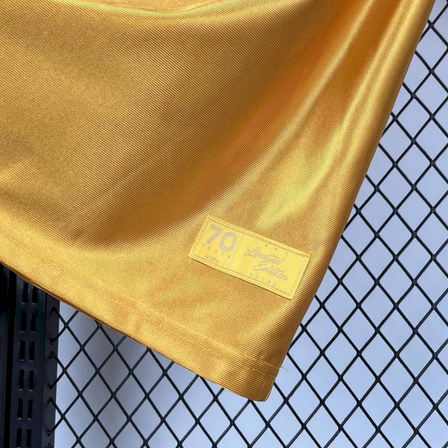 Camisola Wolves FC 2025/2026 - Golden Special Edition 70th Anniversary