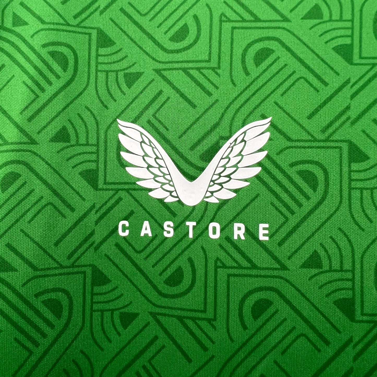Camisola Nacional Retro Ireland 2024/2025 - Principal