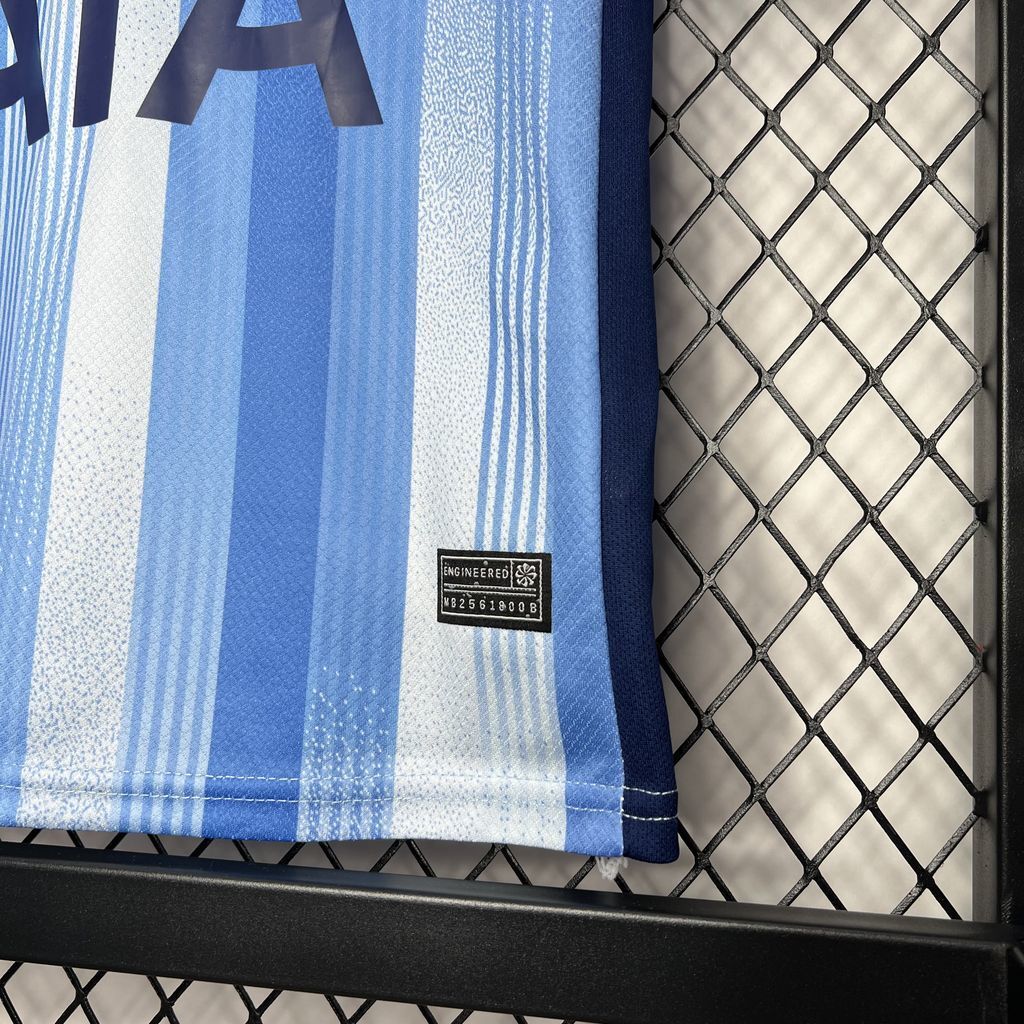 Conjunto Infantil Tottenham Hotspur FC 2024/2025 - Alternativo