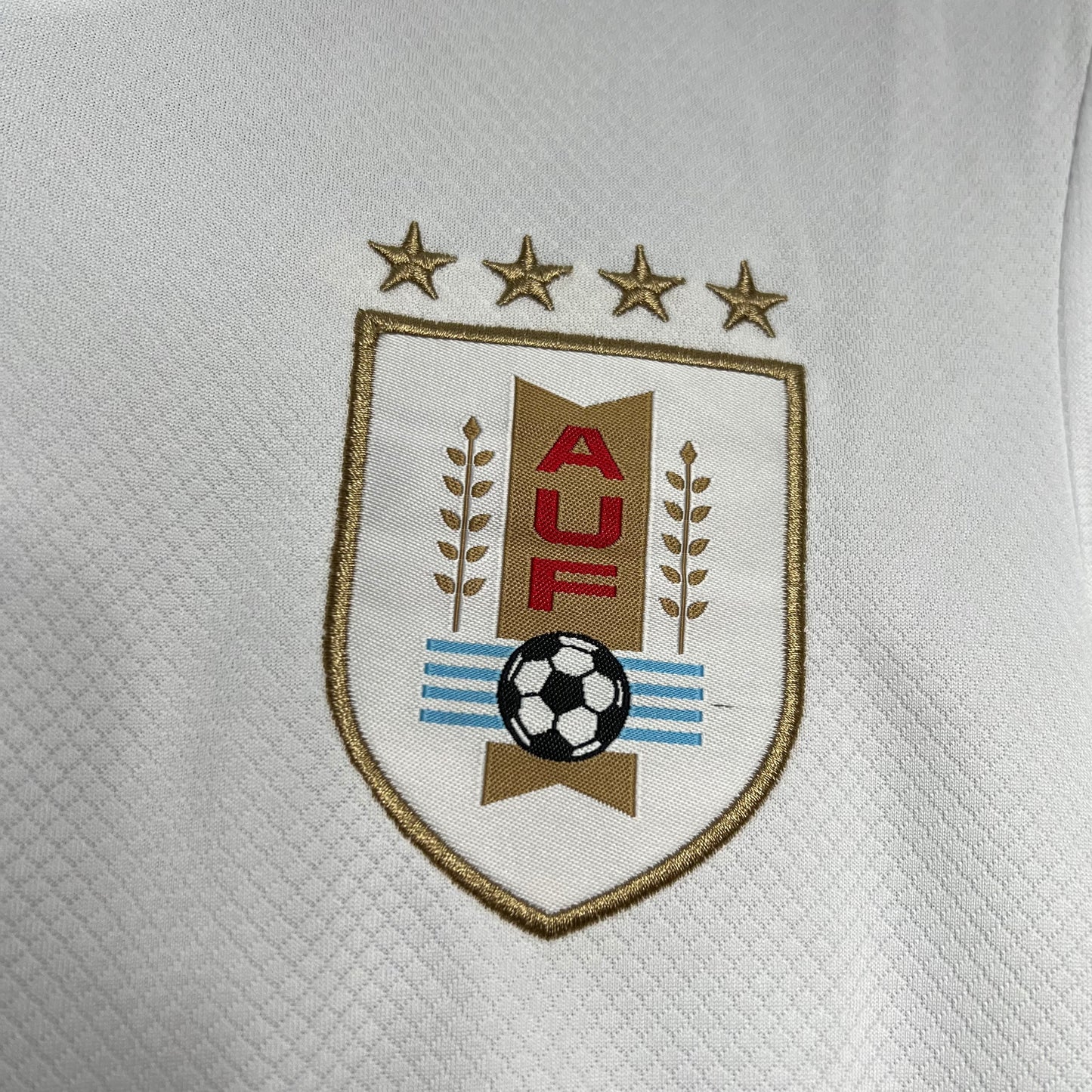 Camisola Nacional Uruguay 2024/2025 - Alternativo