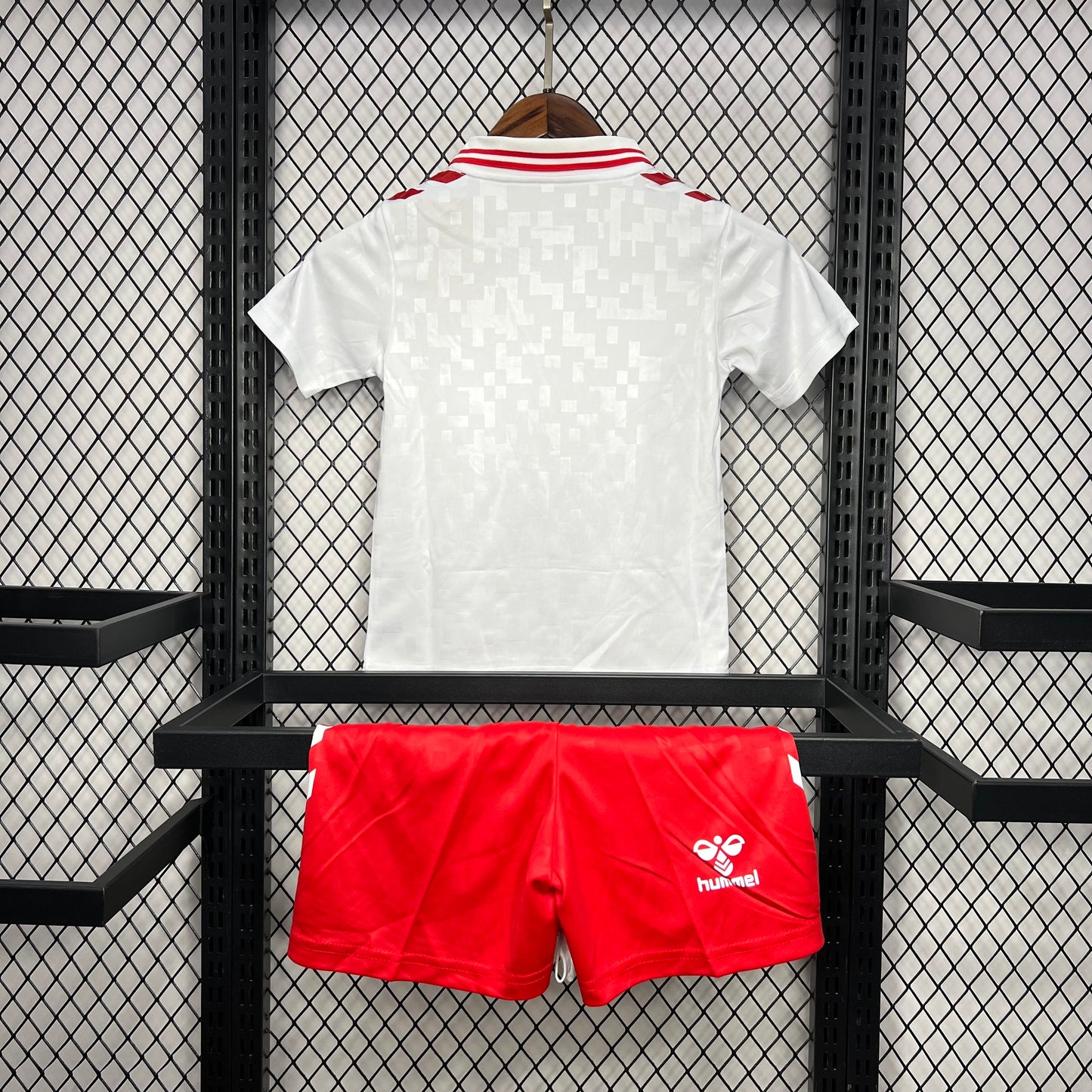 Conjunto Infantil Denmark 2024/2025 - Alternativo