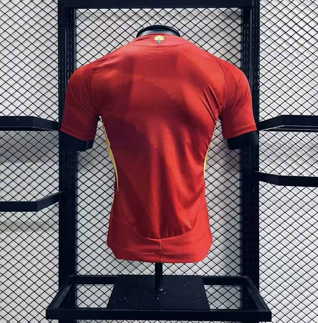 Camisola Spain 2024/2025 - Principal Euro