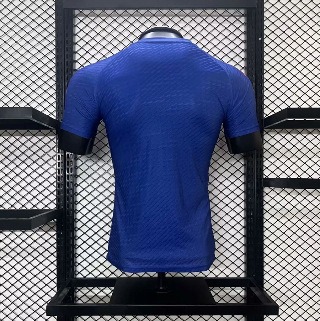 Camisola Nacional Japan 2024/2025 - Special Edition Bushido