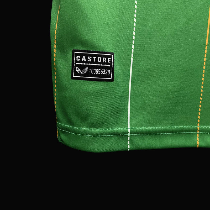 Camisola Nacional Retro Ireland 2023/2024 - Principal