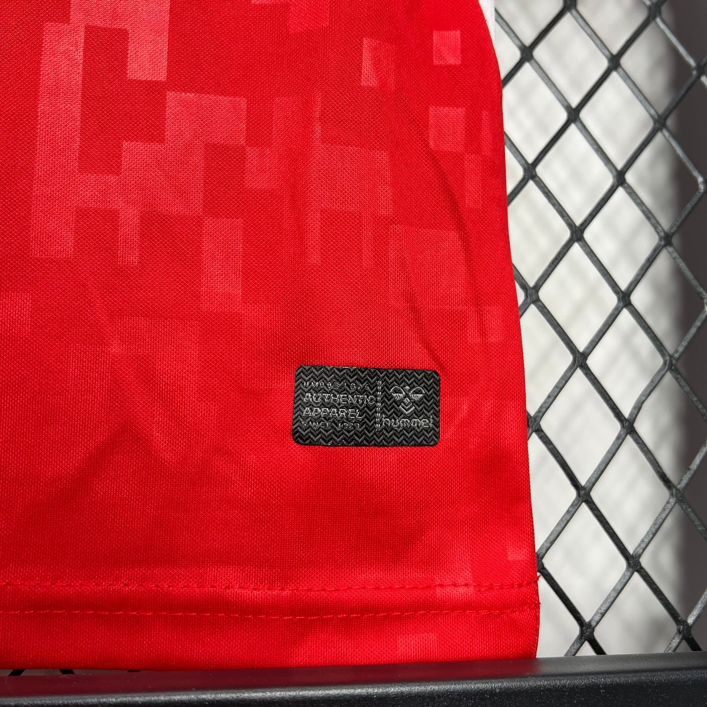 Conjunto Infantil Denmark 2024/2025 - Principal